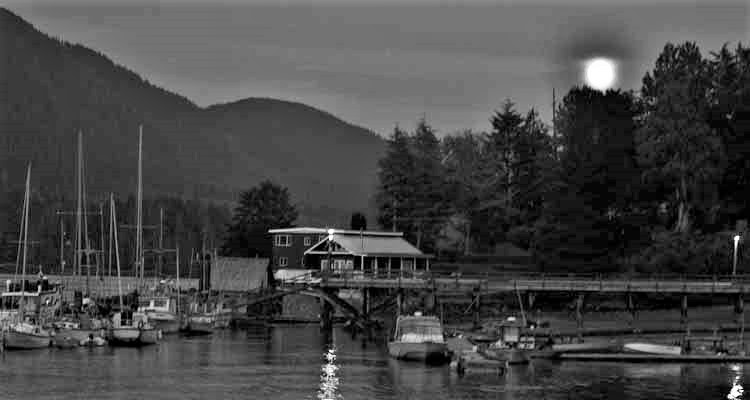 small-boat harbor at night with moon